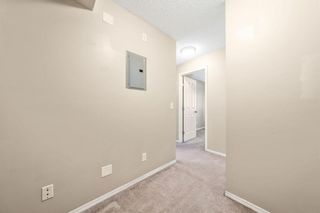 Photo 14: 1106 8 Bridlecrest Drive SW in Calgary: Bridlewood Apartment for sale : MLS®# A1240306
