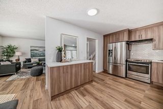 Photo 11: 1759 41 Street NE in Calgary: Rundle Detached for sale : MLS®# A2125831