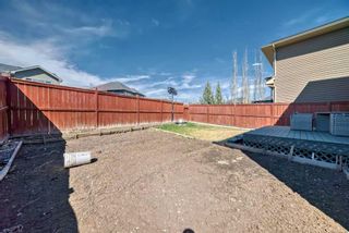 Photo 41: 314 Evanston Drive NW in Calgary: Evanston Detached for sale : MLS®# A2129617