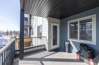 Photo 20: 303 2715 12 Avenue SE in Calgary: Albert Park/Radisson Heights Apartment for sale : MLS®# A2036700