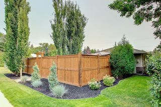 Photo 48: 4308 26 Avenue SW in Calgary: Glendale Detached for sale : MLS®# A2002154