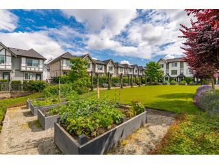 Photo 34: 105 30989 WESTRIDGE Place in Abbotsford: Abbotsford West Townhouse for sale in "Brighton" : MLS®# R2472362