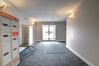 Photo 40: 124 8200 4 Street NE in Calgary: Beddington Heights Apartment for sale : MLS®# A2017788