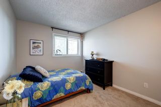 Photo 13: 3311 393 Patterson Hill SW in Calgary: Patterson Apartment for sale : MLS®# A1252666