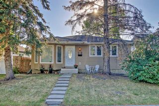 Photo 1: 275 Doverview Crescent SE in Calgary: Dover Detached for sale : MLS®# A2055060