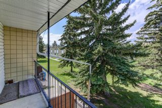 Photo 19: 220 2211 19 Street NE in Calgary: Vista Heights Row/Townhouse for sale : MLS®# A1233809