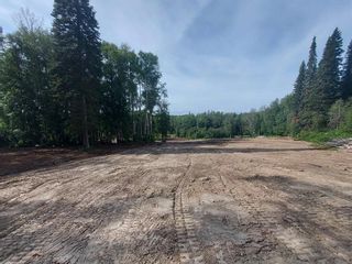 Photo 7: 7987 RIDGE Drive in Prince George: Cranbrook Hill Land for sale (PG City West)  : MLS®# R2755808