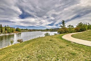 Photo 48: 223 Inverness Park SE in Calgary: McKenzie Towne Detached for sale : MLS®# A2080302