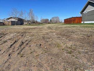 Photo 1: 133 Cameron Crescent in Watson: Lot/Land for sale : MLS®# SK879084