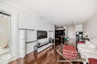 Photo 10: 518 8880 Horton Road SW in Calgary: Haysboro Apartment for sale : MLS®# A2129175