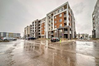 Photo 45: 1106 4641 128 Avenue NE in Calgary: Skyview Ranch Apartment for sale : MLS®# A2128394