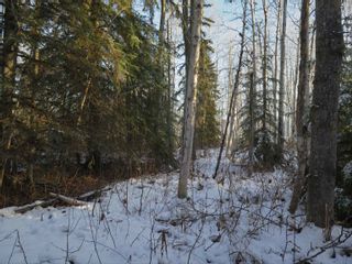 Photo 25: GLACIER GULCH RD ROAD in Smithers: Smithers - Rural Land for sale (Smithers And Area (Zone 54))  : MLS®# R2633357