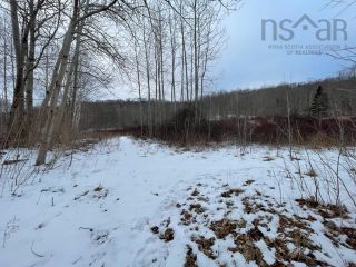 Photo 7: 217 Woodside Road in Woodside: Kings County Residential for sale (Annapolis Valley)  : MLS®# 202302317