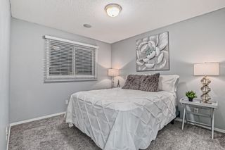Photo 20: 395 Copperfield Grove SE in Calgary: Copperfield Detached for sale : MLS®# A2009768