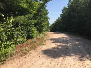 Photo 2: Lot 58 Turner Point Crossover in Walden: 405-Lunenburg County Vacant Land for sale (South Shore)  : MLS®# 202218144
