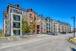 Photo 18: 4209 99 Copperstone Park SE in Calgary: Copperfield Apartment for sale : MLS®# A1218349