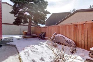 Photo 31: 933 Ranchview Crescent NW in Calgary: Ranchlands Detached for sale : MLS®# A2123356