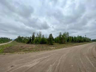 Photo 7: DL 13174 GAGNON SUBD Street in Mackenzie: Mackenzie -Town Land for sale in "GAGNON SUBDIVISION" : MLS®# R2754950