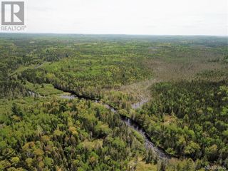 Photo 4: - Canoose Stream Road in Canoose: Vacant Land for sale : MLS®# NB073754