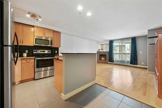 Photo 6: 302 317 19 Avenue SW in Calgary: Mission Apartment for sale : MLS®# A2128598