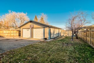 Photo 29: 392 Cantrell Drive SW in Calgary: Canyon Meadows Detached for sale : MLS®# A1164586