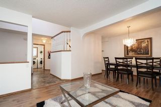 Photo 6: 60 Red Willow Crescent in Winnipeg: Southland Park Residential for sale (2K)  : MLS®# 202223791