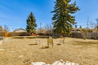 Photo 31: 5113 56 Avenue: Olds Detached for sale : MLS®# A2125002