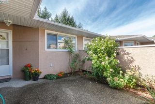 Photo 16: 14 3049 Brittany Dr in VICTORIA: Co Colwood Corners Row/Townhouse for sale (Colwood)  : MLS®# 768555
