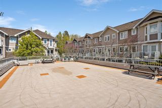 Photo 32: 12 1043 Caledonia Ave in Victoria: Vi Central Park Row/Townhouse for sale : MLS®# 901228