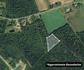 Photo 3: Lot Forest Hill Road in Forest Hill: Kings County Vacant Land for sale (Annapolis Valley)  : MLS®# 202224637