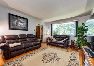 Photo 7: 3435 19 Street NW in Calgary: Charleswood Detached for sale : MLS®# A1241345