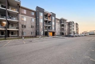 Photo 31: 214 7130 80 Avenue NE in Calgary: Saddle Ridge Apartment for sale : MLS®# A2094119