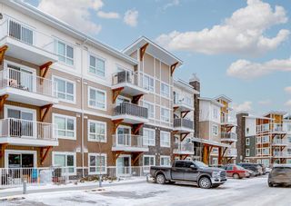 Photo 1: 1109 302 Skyview Ranch Drive NE in Calgary: Skyview Ranch Apartment for sale : MLS®# A2016450