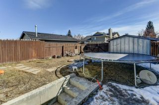 Photo 30: 20 Castleridge Close NE in Calgary: Castleridge Detached for sale : MLS®# A1113165