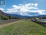 Main Photo: 1631 Maple Street in Okanagan Falls: Agriculture for sale : MLS®# 10312928