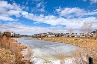 Photo 42: 30 Bayside Park SW: Airdrie Detached for sale : MLS®# A2120303