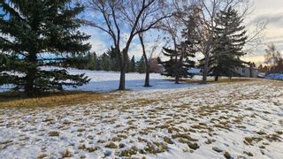 Photo 41: 215 Dalcastle Way NW in Calgary: Dalhousie Detached for sale : MLS®# A1075014