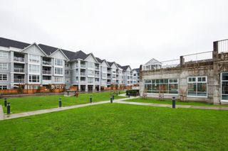 Photo 18: 206 3142 ST JOHNS Street in Port Moody: Port Moody Centre Condo for sale in "SONRISA" : MLS®# R2254973