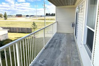 Photo 19: 206 4520 45A Street Close: Innisfail Apartment for sale : MLS®# A1258475
