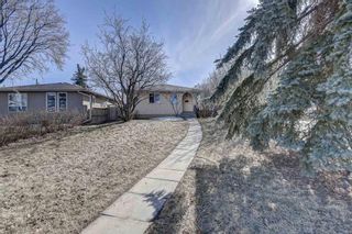 Photo 35: 126 Dovercliffe Way SE in Calgary: Dover Detached for sale : MLS®# A1082276
