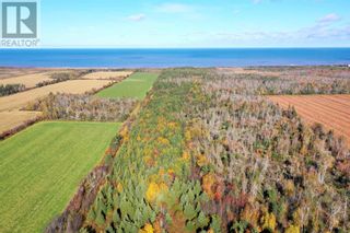 Photo 9: ACREAGE Rte 336 in Cable Head West: Vacant Land for sale : MLS®# 202322862