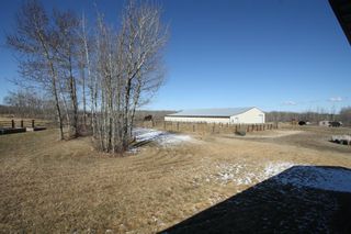 Photo 31: : Rural Parkland County Agriculture for sale : MLS®# A1068115
