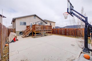Photo 30: 42 Harry Lehotsky Cove in Winnipeg: Residential for sale (4F)  : MLS®# 202209269