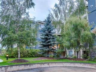 Photo 29: 329 35 RICHARD Court SW in Calgary: Lincoln Park Condo for sale : MLS®# C4030447