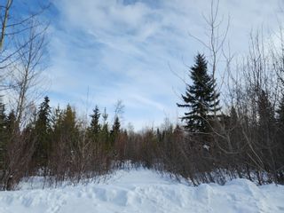 Photo 1: 9134 WEST SYKES Road in Prince George: Western Acres Land for sale in "Gauthier" (PG City South West)  : MLS®# R2756973