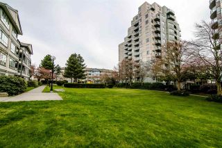 Photo 20: 310 4990 MCGEER Street in Vancouver: Collingwood VE Condo for sale in "CONNAUGHT" (Vancouver East)  : MLS®# R2351638