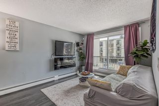 Photo 15: 206 1829 11 Avenue SW in Calgary: Sunalta Apartment for sale : MLS®# A2048820