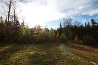 Photo 23: 3354 Highway 340 in Corberrie: Digby County Residential for sale (Annapolis Valley)  : MLS®# 202225185