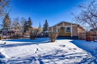 Photo 1: 3019 29A Street SE in Calgary: Dover Detached for sale : MLS®# A2117655