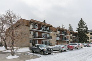 Photo 34: 32B 231 Heritage Drive SE in Calgary: Acadia Apartment for sale : MLS®# A1172862
